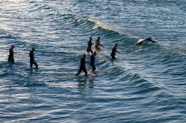 Panama City Beach, Florida - 4 Kasım 2023 Ironman yarışmacıları güneşli bir sonbahar sabahı 2023 yüzme bölümü için okyanusa girdiler..