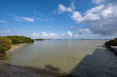 Florida Körfezi, Guy Bradley 'nin Everglades Ulusal Parkı' ndaki Flamingo Ziyaretçi Merkezi 'nden güneşli Mart öğleden sonra..