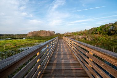 Boynton Beach, Florida 'daki Green Cay Doğa Merkezi' nin inşa edilmiş sulak alanları üzerinde sahil yürüyüşü ve gün doğumu bulutları..