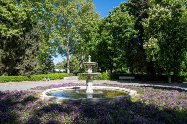 Madrid, İspanya - 13 Nisan 2024 - Güneşli bir bahar sabahı, El Retiro Park 'taki çiçek bahçesinin ortasındaki güzel çeşme.