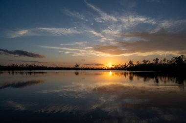 Florida Everglades Ulusal Parkı 'ndaki Pine Glades Gölü' ne yansıyan renkli günbatımı bulutları..