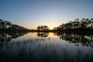 Florida, Everglades Ulusal Parkı 'ndaki Long Pine Key gölünün sakin sularına yansıyan sakin günbatımı.