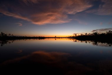 Florida Everglades Ulusal Parkı 'ndaki Pine Glades Gölü' ne yansıyan renkli günbatımı alacakaranlık bulutu...
