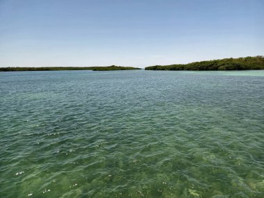 Biscayne Ulusal Parkı 'nın berrak suları açık güneşli bir yaz öğleden sonrasında Florida.