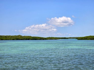 Biscayne Ulusal Parkı 'nın berrak suları açık güneşli bir yaz öğleden sonrasında Florida.