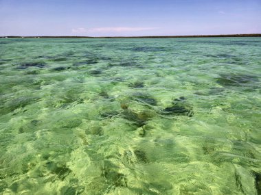 Biscayne Ulusal Parkı 'nın berrak suları açık güneşli bir yaz öğleden sonrasında Florida.