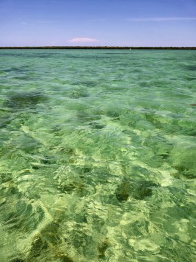 Biscayne Ulusal Parkı 'nın berrak suları açık güneşli bir yaz öğleden sonrasında Florida.