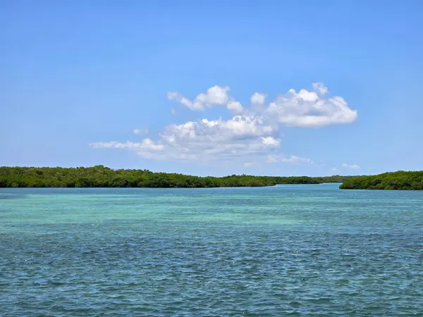 stock image Clear waters of Biscayne National Park, Florida on clear sunny summer afternoon.