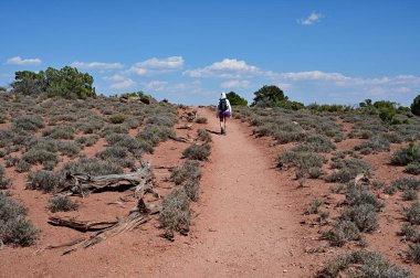 Güneşli bir yaz öğleden sonrasında Utah, Canyonlands Ulusal Parkı 'nda Beyaz Halka' da yürüyüş yapan bir kadın..