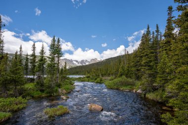 Mountain stream on Lake Isabelle Trail in Brainard Lake Recreation Area, Colorado on sunny summer day. clipart