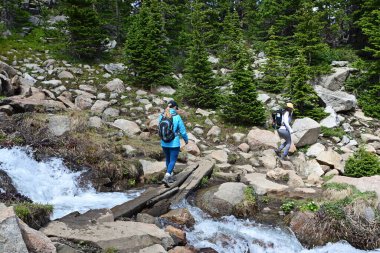 Two women hikers crossing stream on narrow log bridge on Lake Isabelle Trail in Brainard Lake Recreation Area, Colorado on sunny summer afternoon. clipart