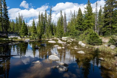 Orman ve bulutlar, güneşli bir yaz öğleden sonrasında, Colorado 'nun Brainard Lake Recrea bölgesindeki Isabelle Gölü' ndeki sakin gölete yansıyor..