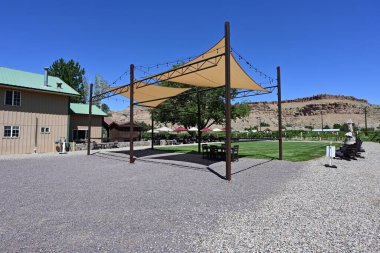 Palisade, Colorado - 9 Temmuz 2024 - Açık güneşli bir yaz sabahı şaraphane ve üzüm bağları.