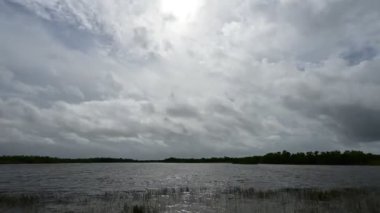 Tropikal Fırtına Debby 'nin Florida' daki Everglades Ulusal Parkı 'ndaki erken etkilerinin hızlandırılmış videosu. Şiddetli rüzgar ve fırtına bulutu oluşumu ile birlikte Nine Mile Pond 4K üzerinde.
