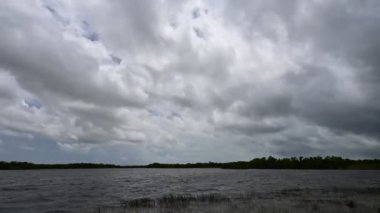 Tropikal Fırtına Debby 'nin Florida' daki Everglades Ulusal Parkı 'ndaki erken etkilerinin hızlandırılmış videosu. Şiddetli rüzgar ve fırtına bulutu oluşumu ile birlikte Nine Mile Pond 4K üzerinde.