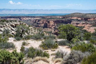 Fruita, Colorado yakınlarındaki Colorado Ulusal Anıtı 'nda manzara güneşli bir yaz gününde..
