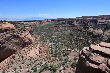 Fruita, Colorado yakınlarındaki Colorado Ulusal Anıtı 'nda manzara güneşli bir yaz gününde..