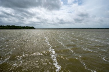 Florida Everglades Ulusal Parkı 'ndaki Tropikal Fırtına Debby' nin erken dönem hava etkileri Batı Gölü üzerinde güçlü rüzgarlar ve fırtına bulutu oluşumu.