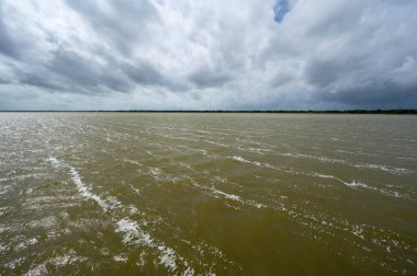 Florida Everglades Ulusal Parkı 'ndaki Tropikal Fırtına Debby' nin erken dönem hava etkileri Batı Gölü üzerinde güçlü rüzgarlar ve fırtına bulutu oluşumu.
