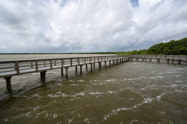 Florida Everglades Ulusal Parkı 'ndaki Tropikal Fırtına Debby' nin erken dönem hava etkileri Batı Gölü üzerinde güçlü rüzgarlar ve fırtına bulutu oluşumu.