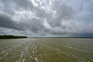 Florida Everglades Ulusal Parkı 'ndaki Tropikal Fırtına Debby' nin erken dönem hava etkileri Batı Gölü üzerinde güçlü rüzgarlar ve fırtına bulutu oluşumu.