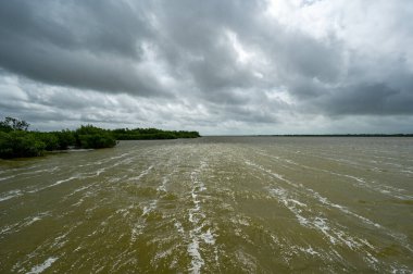 Florida Everglades Ulusal Parkı 'ndaki Tropikal Fırtına Debby' nin erken dönem hava etkileri Batı Gölü üzerinde güçlü rüzgarlar ve fırtına bulutu oluşumu.