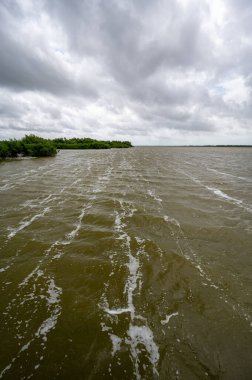 Florida Everglades Ulusal Parkı 'ndaki Tropikal Fırtına Debby' nin erken dönem hava etkileri Batı Gölü üzerinde güçlü rüzgarlar ve fırtına bulutu oluşumu.