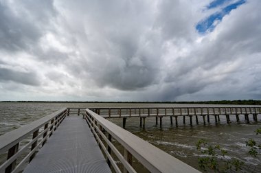 Florida Everglades Ulusal Parkı 'ndaki Tropikal Fırtına Debby' nin erken dönem hava etkileri Batı Gölü üzerinde güçlü rüzgarlar ve fırtına bulutu oluşumu.