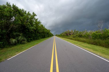 Everglades Ulusal Parkı ana yolu Tropik Fırtına Debby 'nin fırtına bulutları altında.