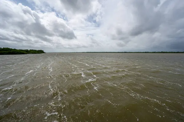 stock image Early weather effects of Tropical Storm Debby in Everglades National Park, Florida with strong winds and storm cloud formation over West Lake.