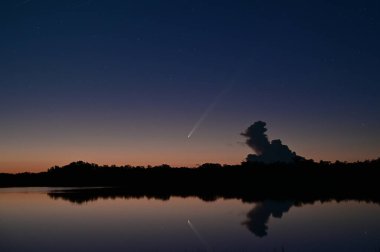 Kuyrukluyıldız Tsuchinshan-ATLAS, Florida, Everglades Ulusal Parkı 'ndaki Nine Mile Pond' un sakin suları üzerinde doğudan yükseliyor..