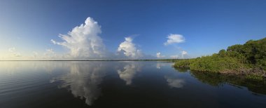 Florida, Everglades Ulusal Parkı 'ndaki Batı Gölü üzerindeki panoramik manzara gölün sakin sularına yansıyor..