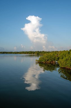 Florida, Everglades Ulusal Parkı 'ndaki Batı Gölü üzerindeki dramatik yaz sabahı bulutları gölün sakin sularını yansıtmaktadır..