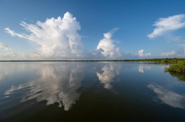 Florida, Everglades Ulusal Parkı 'ndaki Batı Gölü üzerindeki dramatik yaz sabahı bulutları gölün sakin sularını yansıtmaktadır..