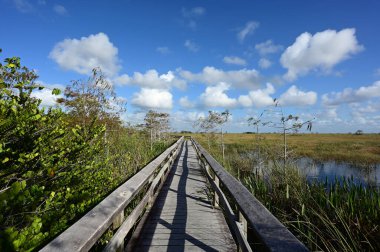 Pa Hay Okee Boardwalk Everglades Ulusal Parkı, Florida 'da güneşli sonbahar bulutları altında.