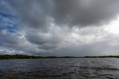 Florida, Everglades Ulusal Parkı 'ndaki Nine Mile Pond üzerinde fırtınalı sonbahar bulutları.