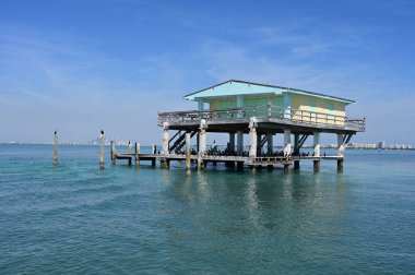 Miami, Florida - 01-29-2025: Biscayne Ulusal Parkı 'nın çim düzlüklerine inşa edilmiş kalan yedi stilt evden biri olan Bay Chateau' da dinlenen karabataklar.