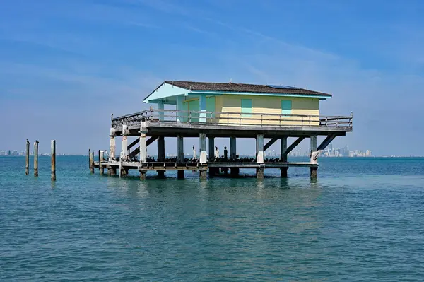 Miami, Florida - 01-29-2025: Biscayne Ulusal Parkı 'nın çim düzlüklerine inşa edilmiş kalan yedi stilt evden biri olan Bay Chateau' da dinlenen karabataklar.