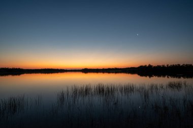 Florida, Everglades Ulusal Parkı 'ndaki Nine Mile Pond' da ay alacakaranlıkta yükseliyor..