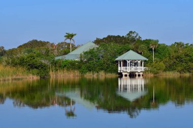 Ernest F Coe Ziyaretçi Merkezi, güneşli bir sabah ışığında Florida, Everglades Ulusal Parkı 'ndaki sakin gölet suyuna yansıdı..