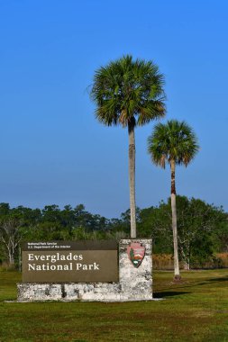 Everglades Ulusal Parkı Anıtı ve Palmiye ağaçları açık güneşli bir sabahta park girişinde.