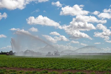 Florida, Homestead 'de beyaz bulutların altında ve güneşli gökyüzünde ekilen tarlaların sulanması için pompa kullanılıyor..