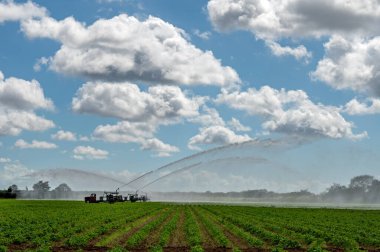 Florida, Homestead 'de beyaz bulutların altında ve güneşli gökyüzünde ekilen tarlaların sulanması için pompa kullanılıyor..