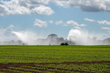 Florida, Homestead 'de beyaz bulutların altında ve güneşli gökyüzünde ekilen tarlaların sulanması için pompa kullanılıyor..