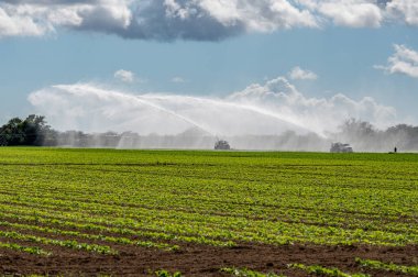 Florida, Homestead 'de beyaz bulutların altında ve güneşli gökyüzünde ekilen tarlaların sulanması için pompa kullanılıyor..