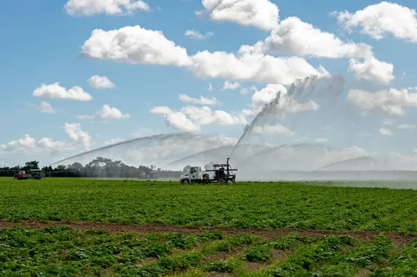 Florida, Homestead 'de beyaz bulutların altında ve güneşli gökyüzünde ekilen tarlaların sulanması için pompa kullanılıyor..
