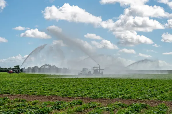 Florida, Homestead 'de beyaz bulutların altında ve güneşli gökyüzünde ekilen tarlaların sulanması için pompa kullanılıyor..