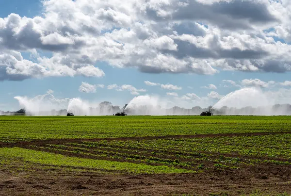 Florida, Homestead 'de beyaz bulutların altında ve güneşli gökyüzünde ekilen tarlaların sulanması için pompa kullanılıyor..