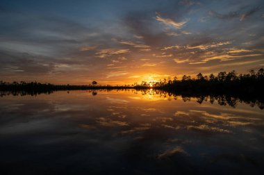 Florida, Everglades Ulusal Parkı 'ndaki Pine Glades Gölü üzerindeki renkli kompleks günbatımı bulutları gölün sakin sularına yansıyor..