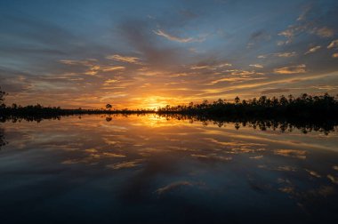 Florida, Everglades Ulusal Parkı 'ndaki Pine Glades Gölü üzerindeki renkli kompleks günbatımı bulutları gölün sakin sularına yansıyor..